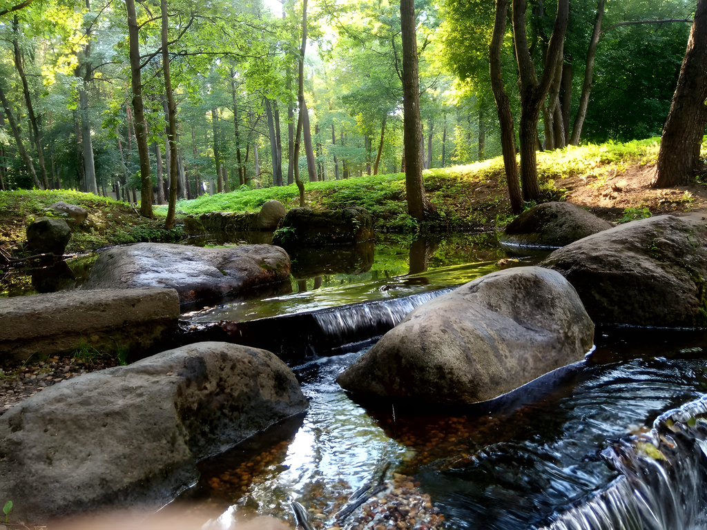 Лесопарк Дрозды