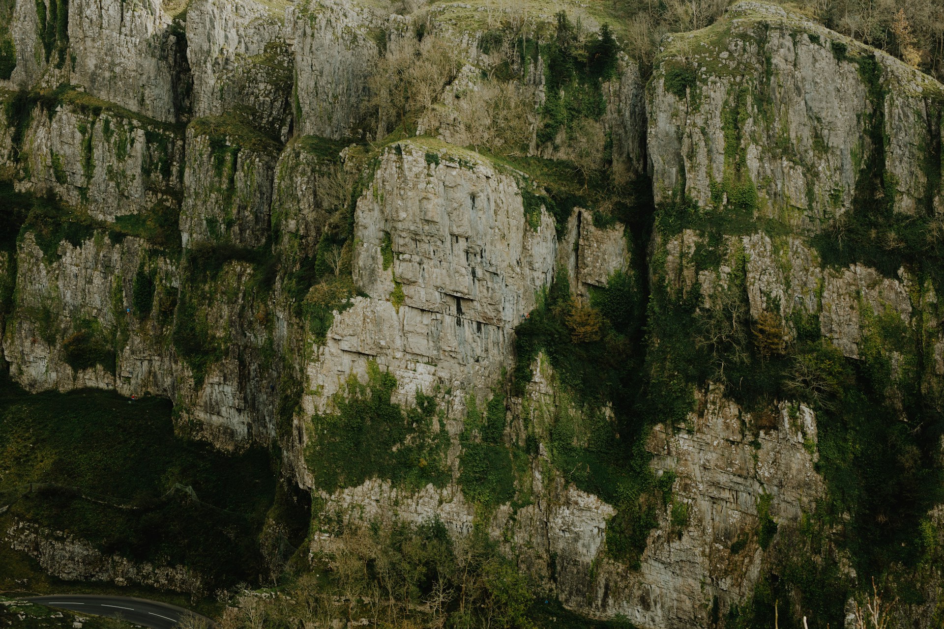 Ущелье Cheddar Gorge