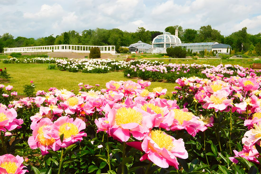 Каунасский ботанический сад